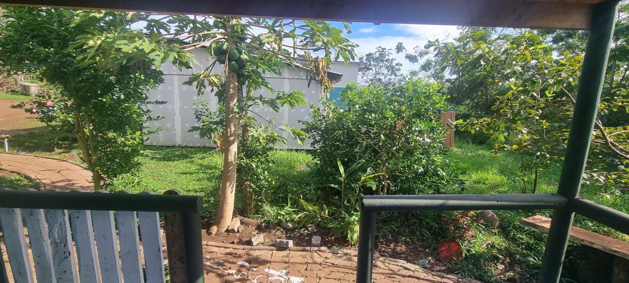 Hostal Henua Roa Hanga Roa Bagian luar foto